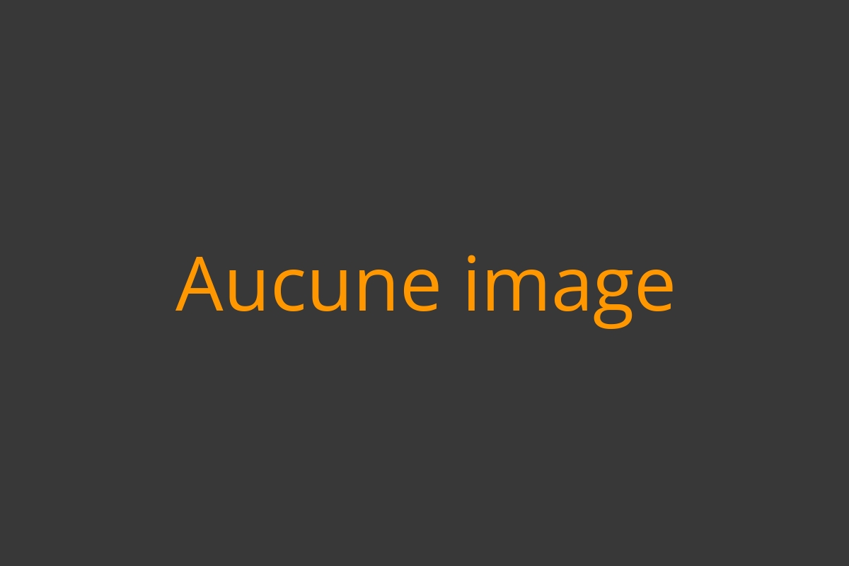 Comportement et conversion - Agence Web Exodream